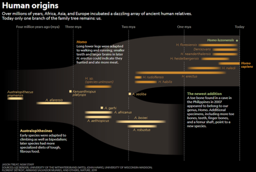 New species of ancient human discovered in the...